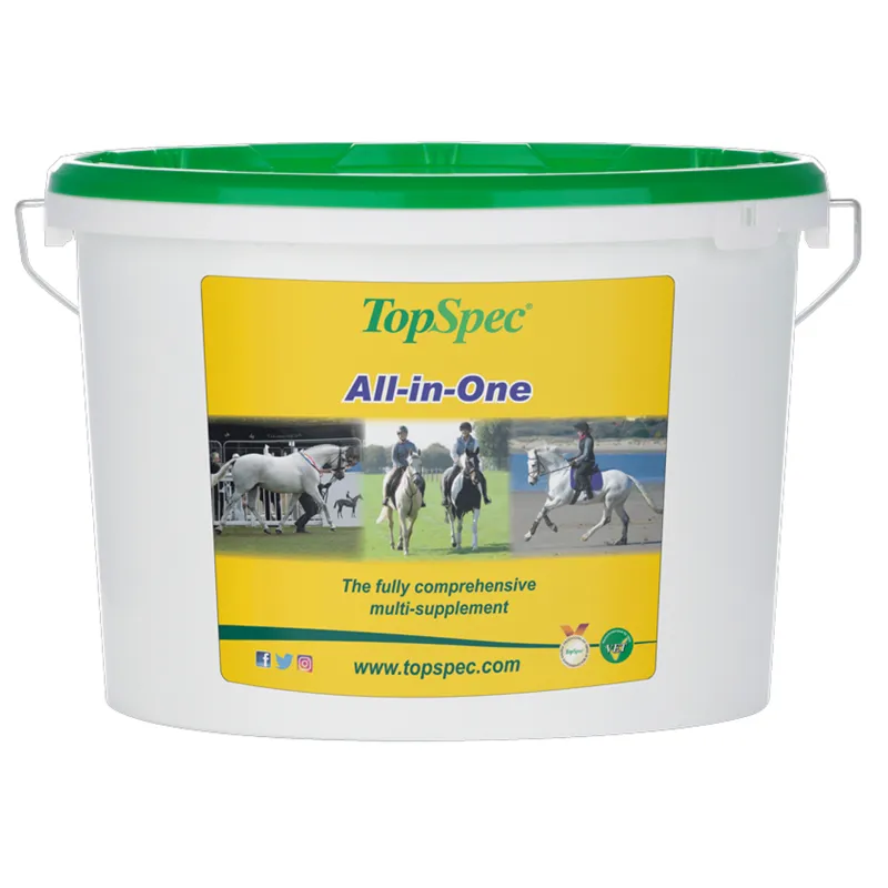 TopSpec All-in-One-1